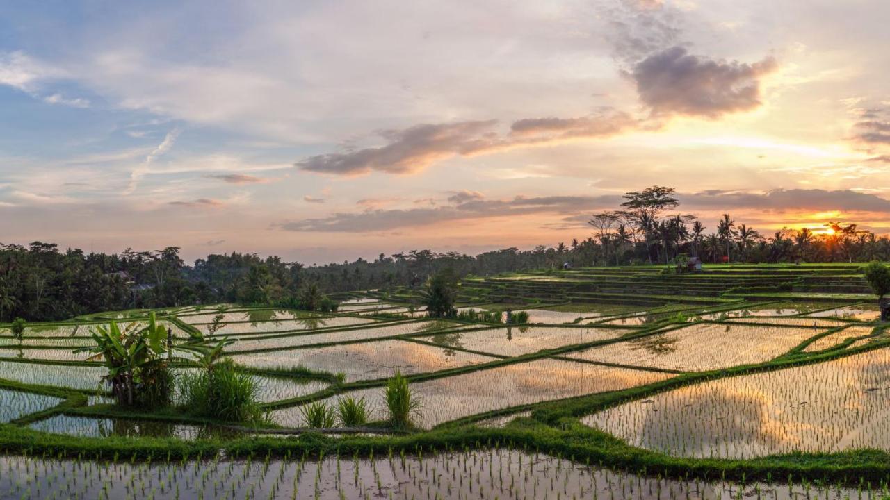 Stanagiri Luxury Retreat Ubud Tegallalang  Εξωτερικό φωτογραφία